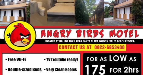 angry bird inn toril|Angry Bird Inn at .